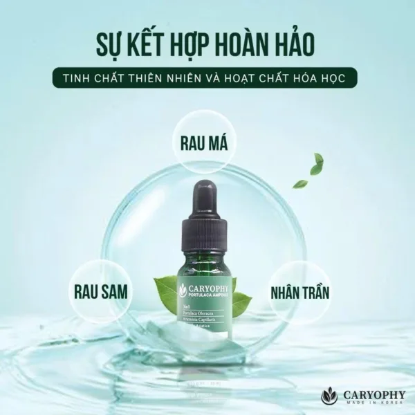 Serum Mụn Caryophy Portulaca Ampoule - Tinh chất giảm mụn và mờ thâm 30ml - Ảnh 4