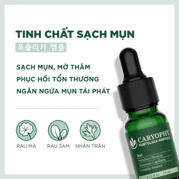 Serum Mụn Caryophy Portulaca Ampoule - Tinh chất giảm mụn và mờ thâm 30ml - Ảnh 2