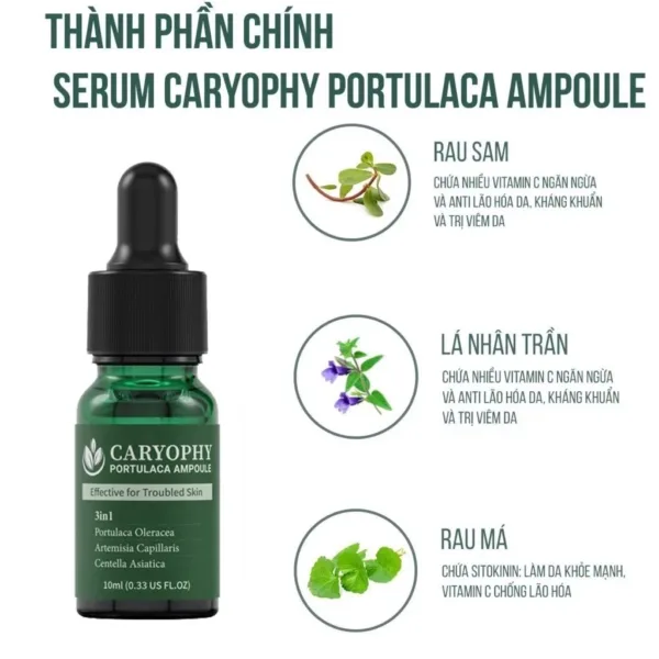 Serum Mụn Caryophy Portulaca Ampoule - Tinh chất giảm mụn và mờ thâm 30ml - Ảnh 5