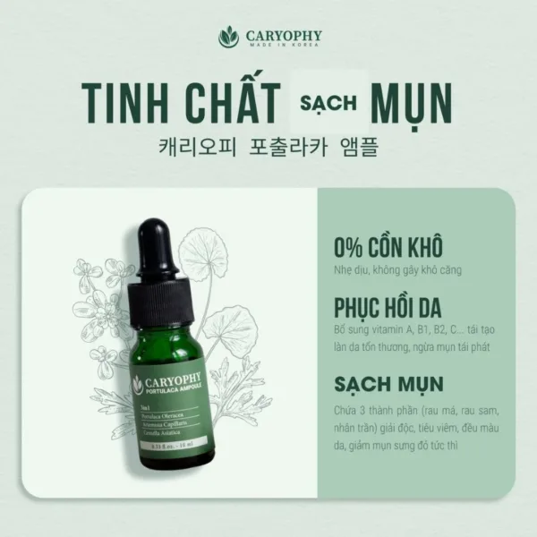 Serum Mụn Caryophy Portulaca Ampoule - Tinh chất giảm mụn và mờ thâm 30ml - Ảnh 3